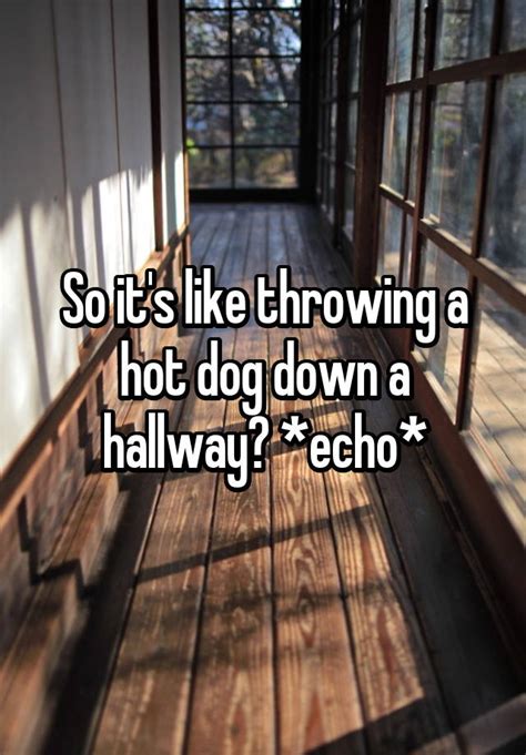 So Its Like Throwing A Hot Dog Down A Hallway Echo