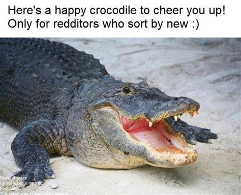 Smile At The Crocodile Meme