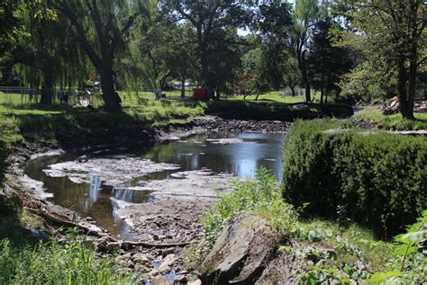 There are a few reasons why bucket ladder dredges have been slow to regenerate after the 1980's. September Binney Park Pond Dredge Update: Materials Being ...