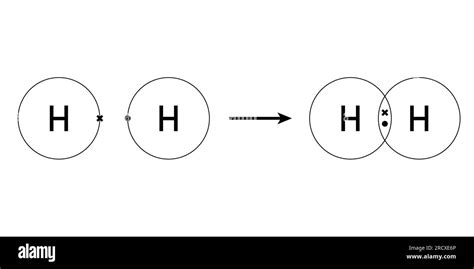 Enlace Covalente De La Molécula De Hidrógeno Dos átomos De Hidrógeno Y