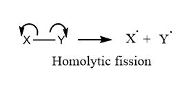 Homolytic And Heterolytic Fission Chemistry Notes