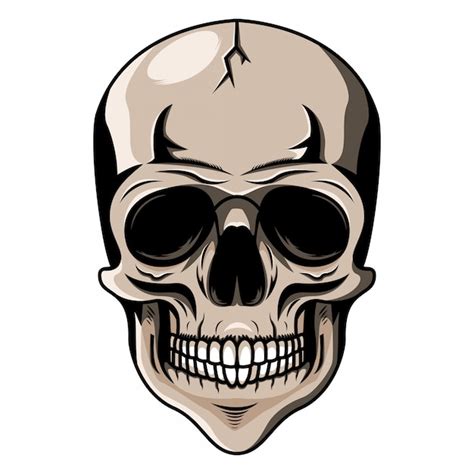 Premium Vector Skull Head Mascot Logo