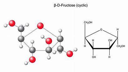 Fructose Formule Formula Desoxyribose Beta Modell Formel