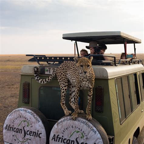 African Scenic Safaris Moshi All You Need To Know Before You Go