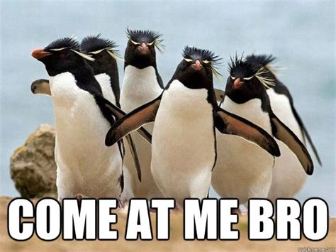 Come At Me Bro Penguin Quickmeme