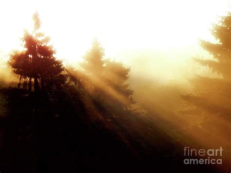 Sunrise Behind Pine Trees Photograph By Phil Perkins Pixels