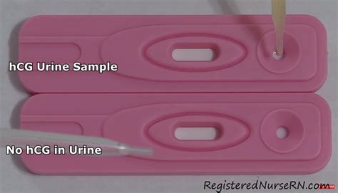 How To Administer Or Take A Pregnancy Test