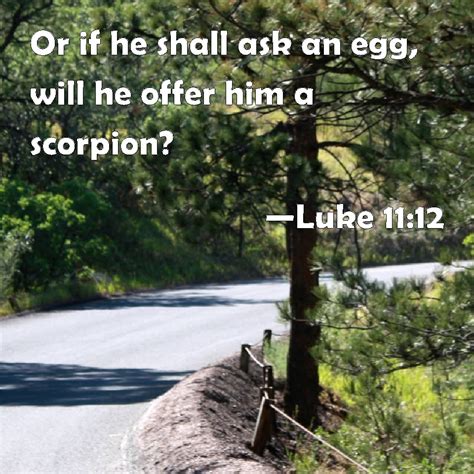 Luke 1112 Or If He Shall Ask An Egg Will He Offer Him A Scorpion