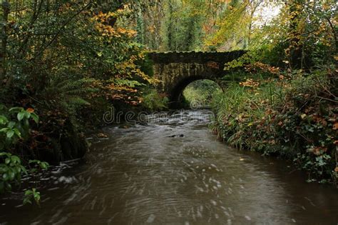 River Flowing Under Stone Arch Bridge Through Forest Bordered By Trees