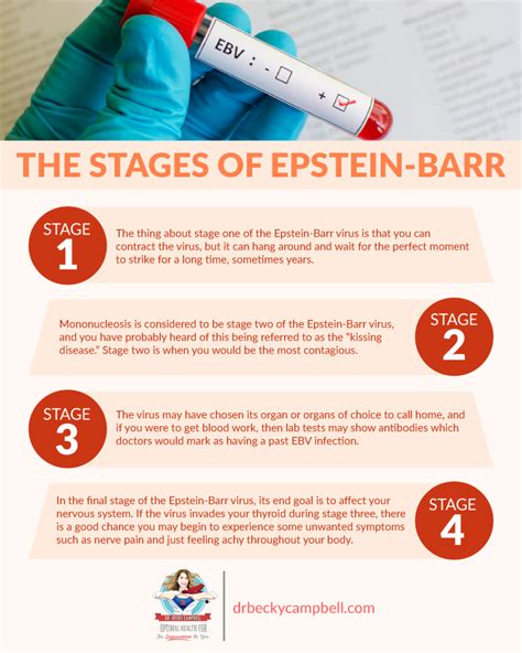 The Epstein Barr Virus And Thyroid Health Connection
