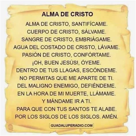 Alma De Cristo Holy Rosary Prayer Prayer For Peace God Prayer Daily