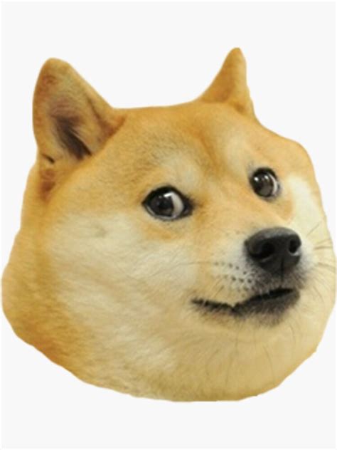 Doge Sticker For Sale By Doduegeek Redbubble