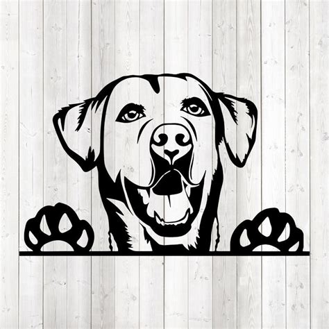Labrador Retriever Portrait Dog Vector Cutting File For Etsy