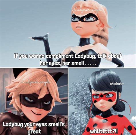 Miraculous Ladybug Reveal Meme