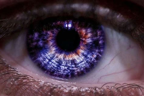 Pin De 𝒯 𝒽 𝒶 𝓎 𝓃 𝒶 Em Purple Vibes Olhos Violeta Cores De Olhos
