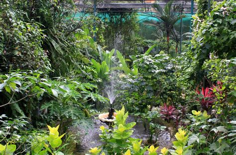 Kuala lumpur butterfly park go admin. Kuala Lumpur Butterfly Park (Malaysia): Address, Phone ...