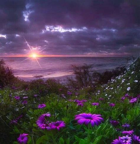 Beautiful Sunset Beautiful Nature Nature Photography Purple Sunset