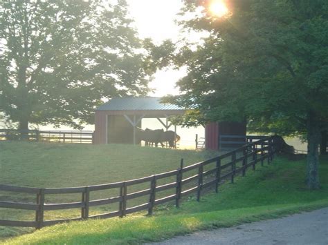 Goshen Crest Farm Horse Boarding Farm In Goshen Kentucky