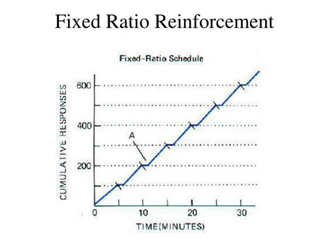 Ppt Reinforcement Schedules Powerpoint Presentation Free Download