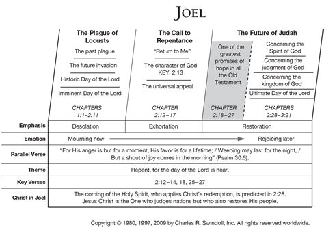 Book Of Joel Overview Insight For Living Ministries