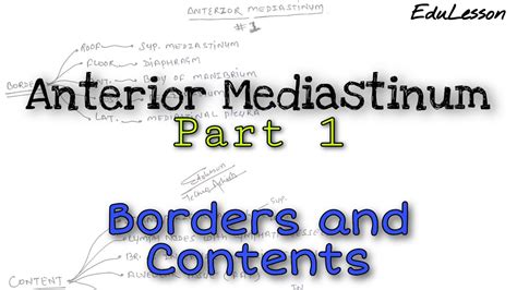 Anterior Mediastinum 1 2 Borders And Contents YouTube