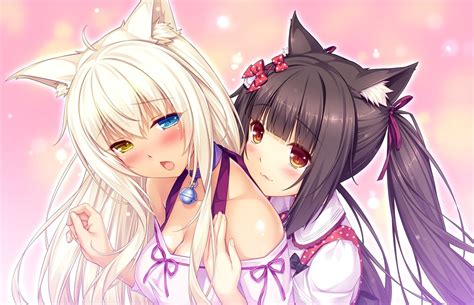 Nekopara Chocola Wallpapers Wallpaper Cave