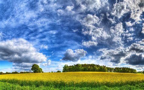 730500 4k Horwich Grasslands England Sky Clouds Grass Hdr