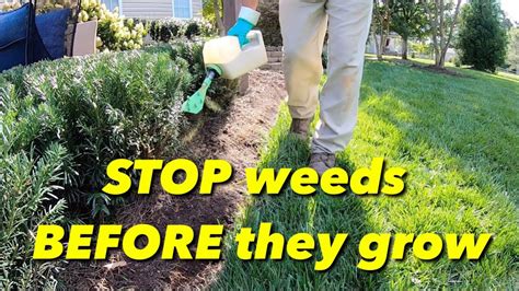 How To Stop Weeds From Growing In Your Natural Areas Youtube