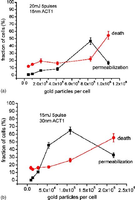 Influence Of Ratios Of Gold Conjugates On Cells During Incubation On