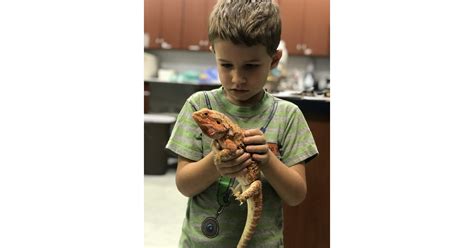 New Trends in Veterinary Medicine for 2024 Include Groundbreaking