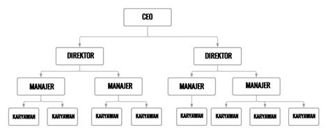 Pengertian Struktur Organisasi Perusahaan Adalah Jeni Vrogue Co