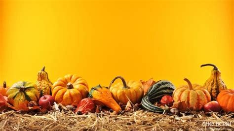 35 Autumnal Zoom Backgrounds For Thanksgiving The Bash