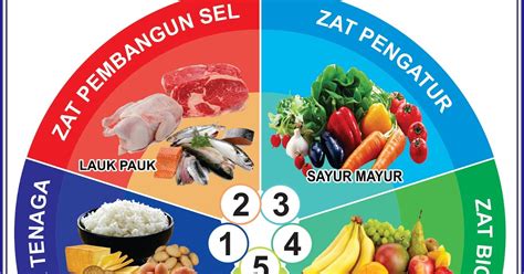 Buah dan sayuran berperan sebagai. MATERI PRAMUKA ONLINE: EMPAT SEHAT LIMA SEMPURNA + Grafik