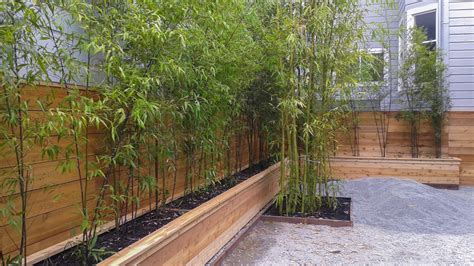 Containers And Planter Boxes For Bamboo Bamboo Sourcery Nursery And Gardens