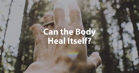 Can The Body Heal Itself