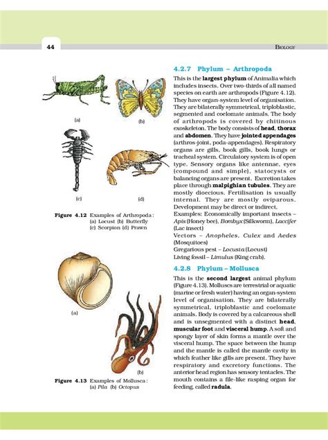 Ncert Book Class 11 Biology Chapter 4 Animal Kingdom Pdf