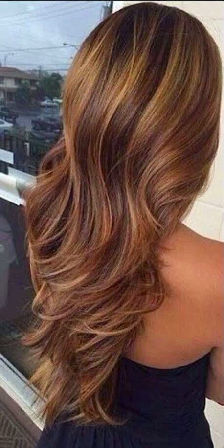 Caramel Hair Color With Honey Highlights Natural Hair Dye