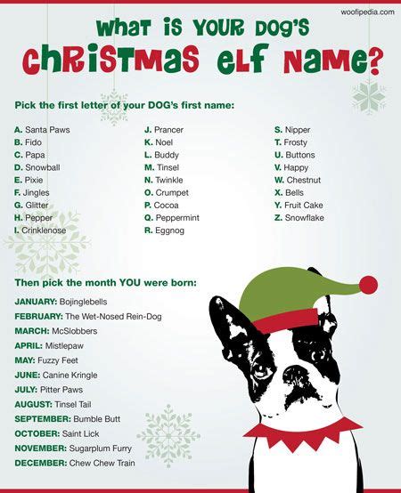 What Is Your Dogs Christmas Elf Name Woofipedia By The American