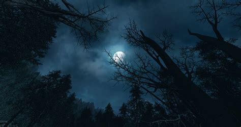 Moonlit Forest Forest Moon Clouds Sky Night Light Hd Wallpaper