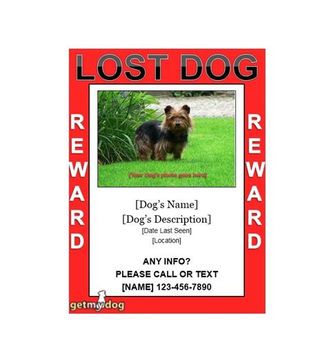 40 Lost Pet Flyers Missing Cat Dog Poster Templatearchive