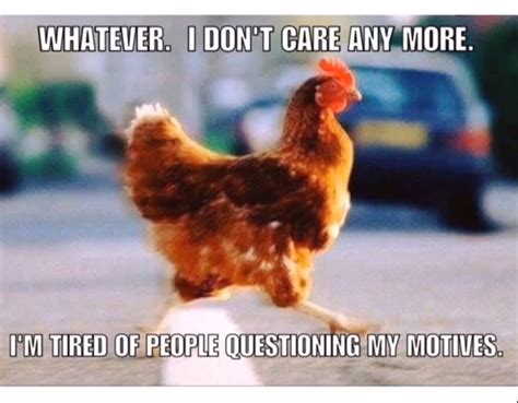Pin By Jill Renae On Quotes Truths And Inspiration Chicken Humor