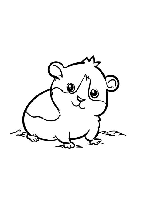 Desenhos De Hamsters Para Imprimir E Colorir Animais Para Colorir Sexiz Pix