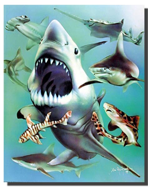 Sharks Poster Animal Posters Aquatic Posters