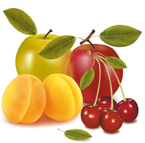 Fruit Drawing Clip Art Fruits Png Download 931921 Free