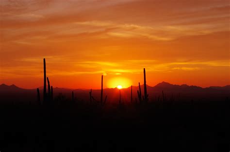 Sunset At Saguaro National Park Ii Foto And Bild North America United