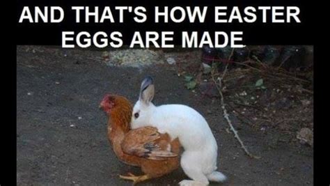 20 Egg Cellent Easter Af Memes Gallery Ebaums World