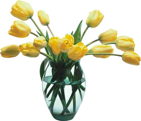 Vase With Flowers Transparent Flower Vase Png Pictures Free Download