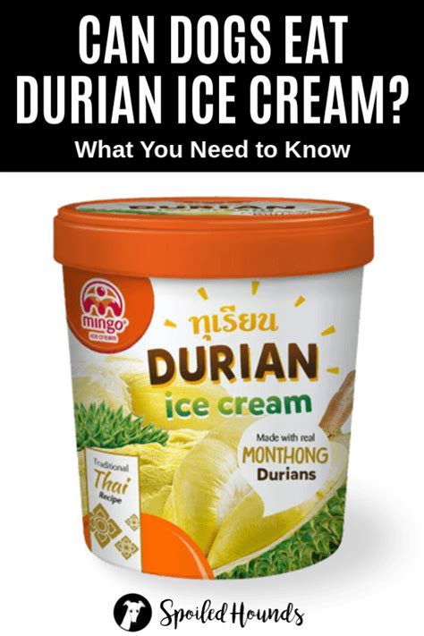 Do you have a dog that won't eat his dry dog food? Can Dogs Eat Durian? What To Know About Dogs and Durian in ...