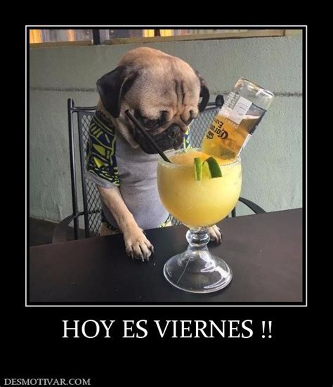 Hoyesviernes Imagenes Chistosas Para Reir Memes De Viernes Viernes Chistoso