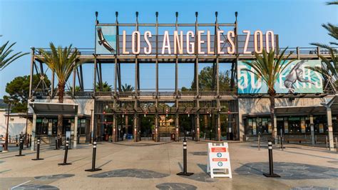How The Los Angeles Zoo Is Saving The West Coasts Most Vulnerable Species